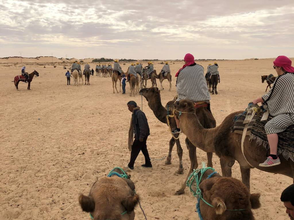 السياحة الصحراوية..   انتعاشة المؤشرات السياحية في قبلي.. وامتلاء 100 بالمائة   في نزل توزر